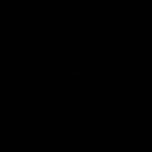 Meet your Posher, Bobbi